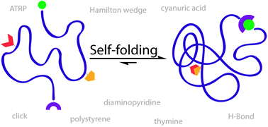 Graphical abstract: Bioinspired dual self-folding of single polymer chains via reversible hydrogen bonding