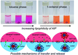 Graphical abstract: Interfacial micellar phase transfer using amphiphilic invertible polymers