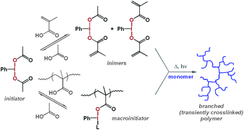 Graphical abstract: Carboxylic acids as latent initiators of radical polymerization carried out in the presence of hypervalent iodine compounds: synthesis of branched and transiently crosslinked polymers