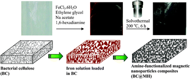 Graphical abstract: One-pot preparation of amine-rich magnetite/bacterial cellulose nanocomposite and its application for arsenate removal