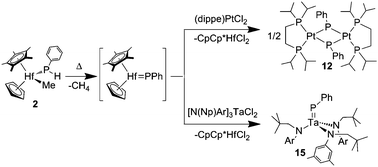 Graphical abstract: Terminal hafnium phosphinidene complexes and phosphinidene ligand exchange