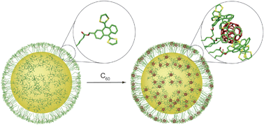 Graphical abstract: exTTF-capped gold nanoparticles as multivalent receptors for C60