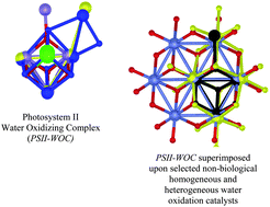 Graphical abstract: Structural similarities in enzymatic, homogeneous and heterogeneous catalysts of water oxidation