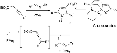 Graphical abstract: Phosphine-catalyzed one-pot isomerization of 3-alkynoates and [2 + 3]-cycloaddition with imines: formal synthesis of Securinegaalkaloid (±)-allosecurinine