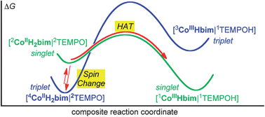 Graphical abstract: Spin-forbidden hydrogen atom transfer reactions in a cobalt biimidazoline system
