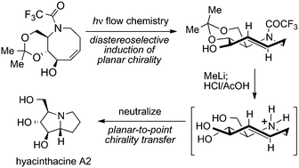 Graphical abstract: Total synthesis of hyacinthacine A2: stereocontrolled 5-aza-cyclooctene photoisomerization and transannular hydroamination with planar-to-point chirality transfer