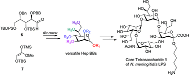 Graphical abstract: Total synthesis of the core tetrasaccharide of Neisseria meningitidislipopolysaccharide, a potential vaccine candidate for meningococcal diseases