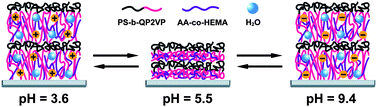 Graphical abstract: Amphoteric polymeric photonic crystal with U-shaped pH response developed by intercalation polymerization