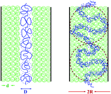 Graphical abstract: Structural properties of concave cylindrical brushes interacting with free chains