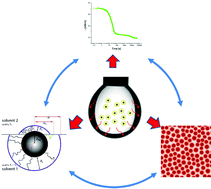 Graphical abstract: Adsorption of core-shell nanoparticles at liquid–liquid interfaces