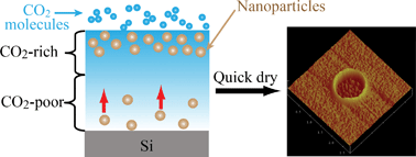 Graphical abstract: Directed self-assembly of nanoparticles at the polymer surface by highly compressible supercritical carbon dioxide