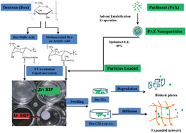 Graphical abstract: Release of paclitaxel from pH sensitive and biodegradable dextran based hydrogels