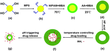 Graphical abstract: Dual stimuli responsive hollow nanogels with IPN structure for temperature controlling drug loading and pH triggering drug release