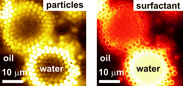 Graphical abstract: How do (fluorescent) surfactants affect particle-stabilized emulsions?