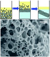 Graphical abstract: Multicompartment polymersome gel for encapsulation