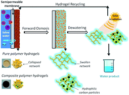 Graphical abstract: Composite polymer hydrogels as draw agents in forward osmosis and solar dewatering