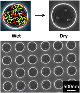 Graphical abstract: Template directed assembly of dynamic micellar nanoparticles