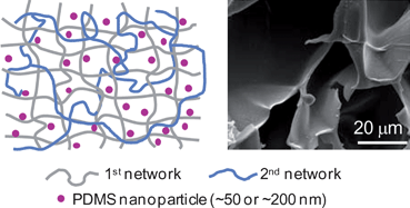 Graphical abstract: Thermoresponsive nanocomposite double network hydrogels