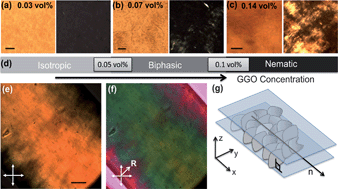Graphical abstract: Liquid crystals of aqueous, giant graphene oxide flakes