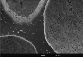 Graphical abstract: Super stable foams stabilized by colloidal ethyl cellulose particles