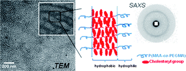 Graphical abstract: Amphiphilic liquid-crystal block copolymer nanofibers via RAFT-mediated dispersion polymerization