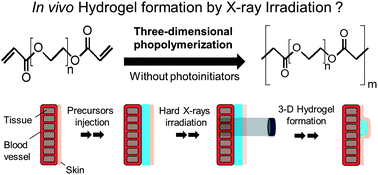 Graphical abstract: Controlled hydrogel photopolymerization inside live systems by X-ray irradiation
