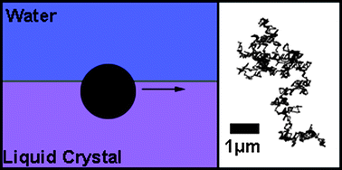 Graphical abstract: The mobilities of micro- and nano-particles at interfaces of nematic liquid crystals