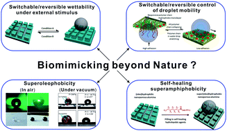 Graphical abstract: Extreme wettability and tunable adhesion: biomimicking beyond nature?