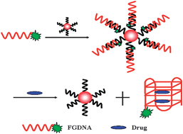 Graphical abstract: Identifying G-quadruplex-binding ligands using DNA-functionalized gold nanoparticles