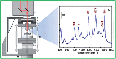 Graphical abstract: In situ Raman spectroscopy of surfaces modified by ion soft landing