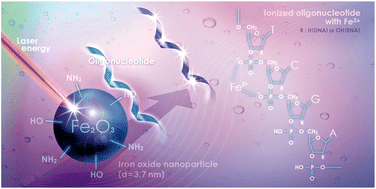Graphical abstract: Oligonucleotide analysis by nanoparticle-assisted laser desorption/ionization mass spectrometry