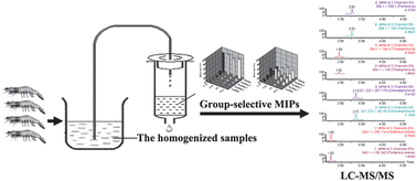 Graphical abstract: Characterisation and application of molecularly imprinted polymers for group-selective recognition of antibiotics in food samples