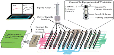 Graphical abstract: A novel screen-printed electrode array for rapid high-throughput detection