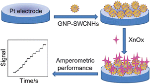 Graphical abstract: Amperometric detection of hypoxanthine and xanthine by enzymatic amplification using a gold nanoparticles–carbon nanohorn hybrid as the carrier