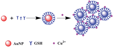 Graphical abstract: Sensitive and selective detection of glutathione based on resonance light scattering using sensitive gold nanoparticles as colorimetric probes