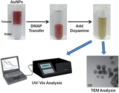 Graphical abstract: Novel core etching technique of gold nanoparticles for colorimetric dopamine detection