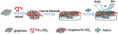 Graphical abstract: Highly sensitive and selective dopamine biosensor based on a phenylethynyl ferrocene/graphene nanocomposite modified electrode