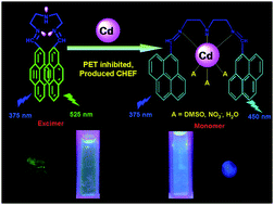 Graphical abstract: Cd(ii)-triggered excimer–monomer conversion of a pyrene derivative: time dependent red-shift of monomer emission with cell staining application