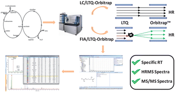 Graphical abstract: Implementation of a semi-automated strategy for the annotation of metabolomic fingerprints generated by liquid chromatography-high resolution mass spectrometry from biological samples