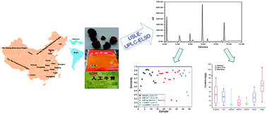 Graphical abstract: Multi-component analysis of bile acids in natural Calculus bovis and its substitutes by ultrasound-assisted solid–liquid extraction and UPLC-ELSD