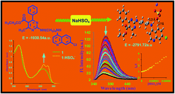Graphical abstract: A ‘turn-off’ emission based chemosensor for HSO4− – formation of a hydrogen-bonded complex