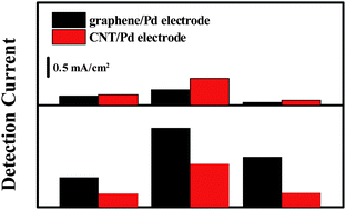 Graphical abstract: The effects of ionic liquid on the electrochemical sensing performance of graphene- and carbon nanotube-based electrodes
