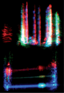 Graphical abstract: Capillary electrophoresis with three-color fluorescence detection for the analysis of glycosphingolipid metabolism