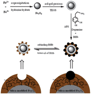Graphical abstract: Polydopamine-based molecular imprinting on silica-modified magnetic nanoparticles for recognition and separation of bovine hemoglobin