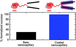Graphical abstract: Lipid-coated nanocapillaries for DNA sensing