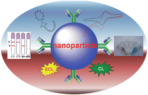 Graphical abstract: Nanoparticle-based immunoassays in the biomedical field