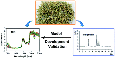 Graphical abstract: Development and validation of NIR model using low-concentration calibration range: rapid analysis of Lonicera japonica solution in ethanol precipitation process