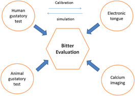 Graphical abstract: Recent advances in bitterness evaluation methods