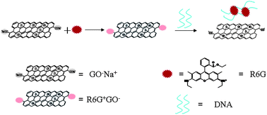 Graphical abstract: A graphene oxide–rhodamine 6G nanocomposite as turn-on fluorescence probe for selective detection of DNA