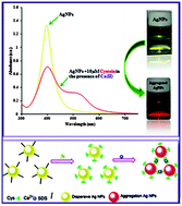 Graphical abstract: Silver nanoparticles in the presence of Ca2+ as a selective and sensitive probe for the colorimetric detection of cysteine